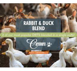 Blended Patties - Rabbit/Duck - Diet